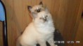 /album/fotogalerie-3-elizabeth/a64-dni-026-jpg/